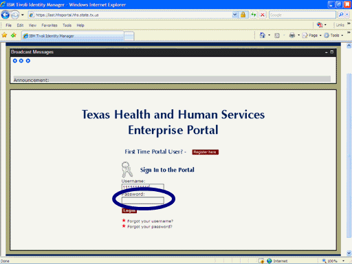 Screenshot of Enterprise Portal Logon page